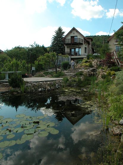 Budaörs - P+FSZT+TTÉR, 292 m2 - A kert felé néző homlokzat és a kerti tó